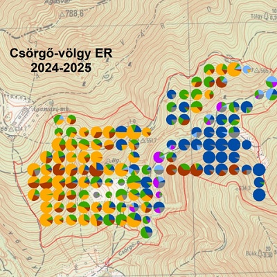 Elegyarány-mintázat