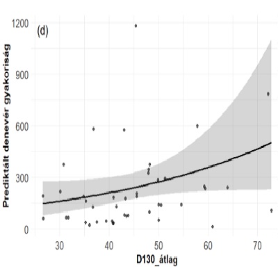 Faállomány-szerkezet - denevér aktivitás