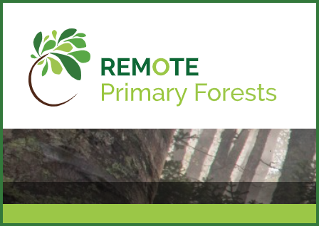 REMOTE - REsearch on MOuntain TEmperate primary forests