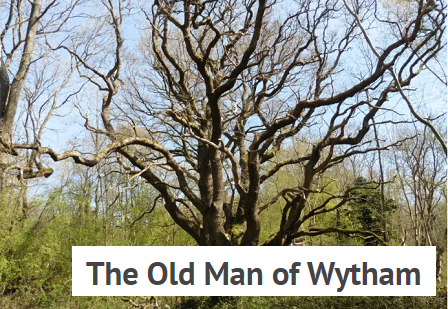Blog of The Old Men of Wytham - Keith Kirby