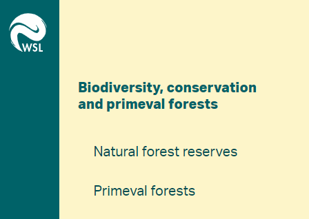 WSL - Biodiversity, conservation and primeval forests