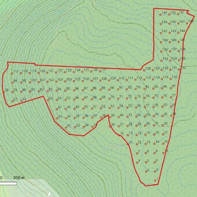 Eötvös & Illés (2025): A Fehér-sziklák Erdőrezervátum (ER-44) egységes alapfelmérése 2024-ben