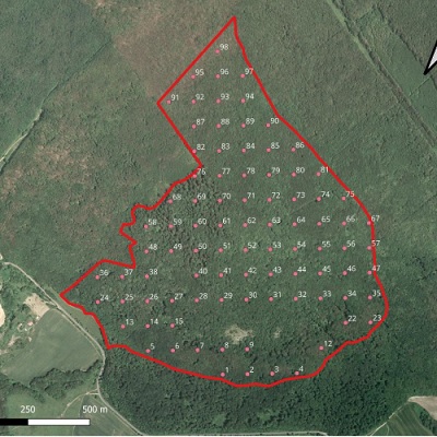 Somhegy ER - ERDŐ+h+á+l+ó