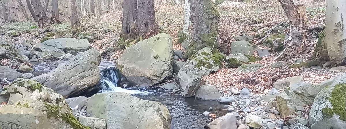 Csörgő-patak áprilisban