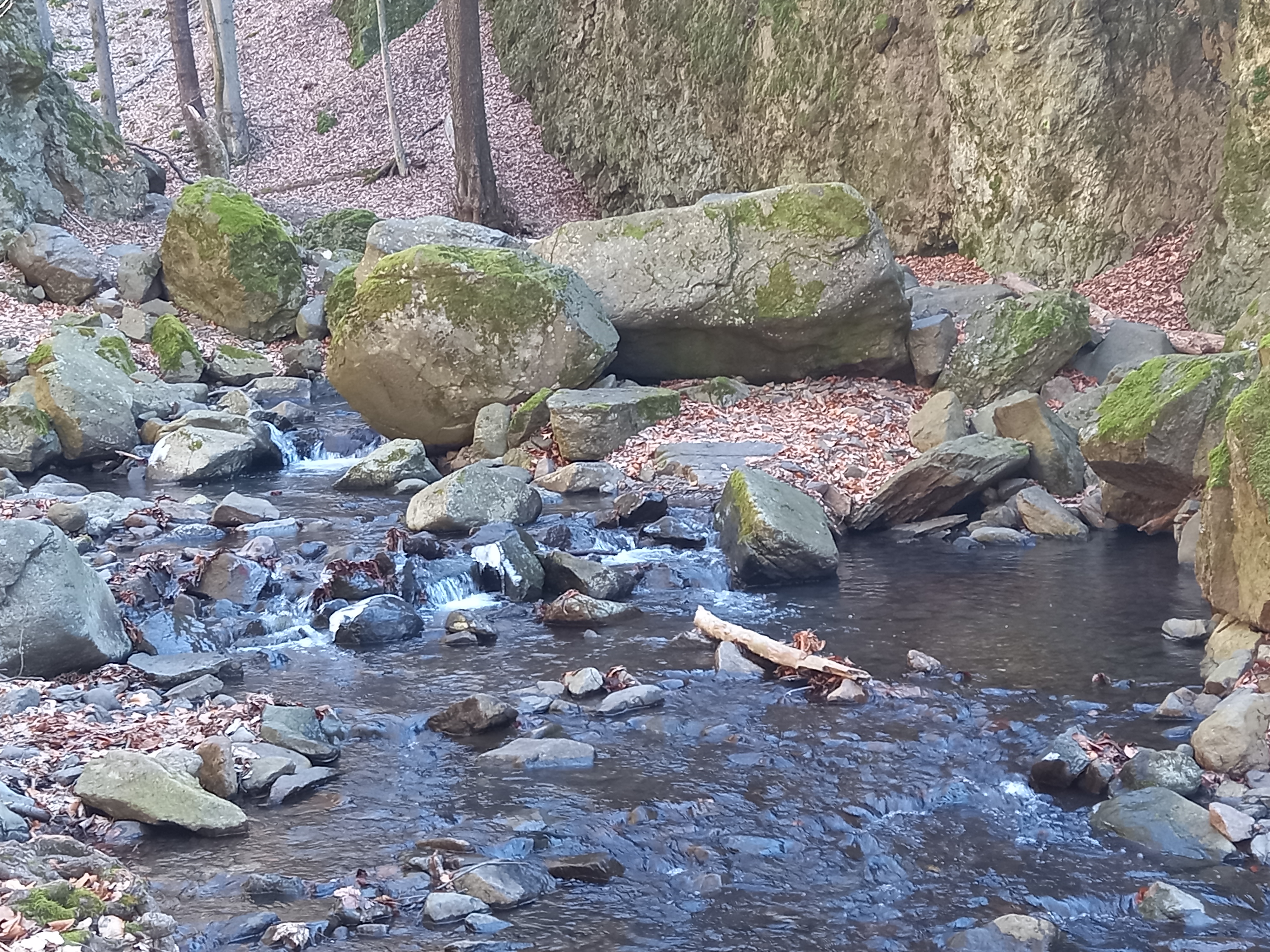 Csörgő-patak a szurdokban