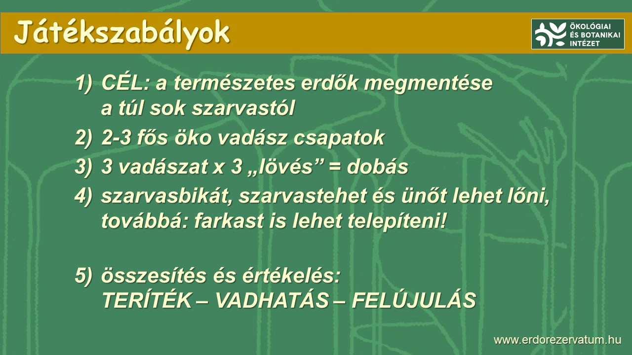 Játékszabályok