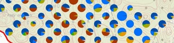 Alsó-hegy alapfelmérés, 2025