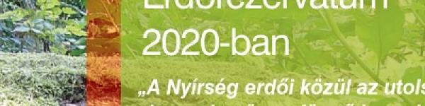 A Baktai-erdő 2020-ban