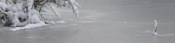 Szarvas, muflon és a klímaszárazodás ...