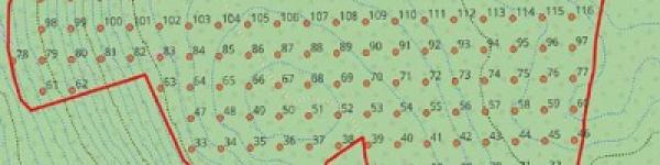 Eötvös & Illés (2025): A Fehér-sziklák Erdőrezervátum (ER-44) egységes alapfelmérése 2024-ben