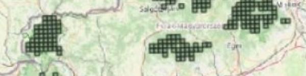 A fehárhátú előfordulása Magyarországon