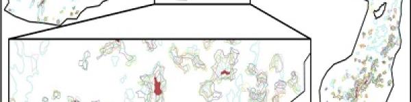 Long-term gap dynamics of Kékes forest reserve