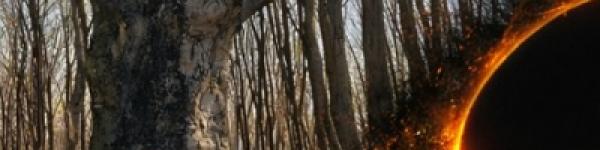 Fekete lyukak bükköseinkben ...