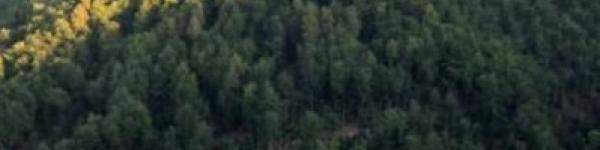 Kutatási jelentés a Pogány-Rózsás ER felméréséről