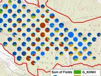 Alsó-hegy alapfelmérés, 2025