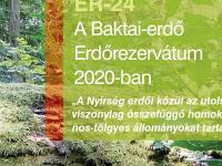 A Baktai-erdő 2020-ban