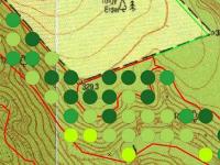 Burok-völgy FAÁSZ dolgozat