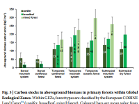 Carbon stocks in aboveground biomass in primary forests