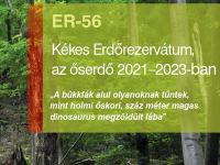 Az őserdő 2021-ben