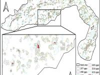 Long-term gap dynamics of Kékes forest reserve