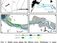 Carbon sequestration of floodplain forests