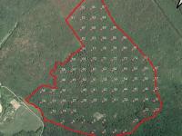 Somhegy ER - ERDŐ+h+á+l+ó