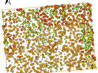 First signs of old-growth structure and ...